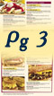 blr corp IHOP menu